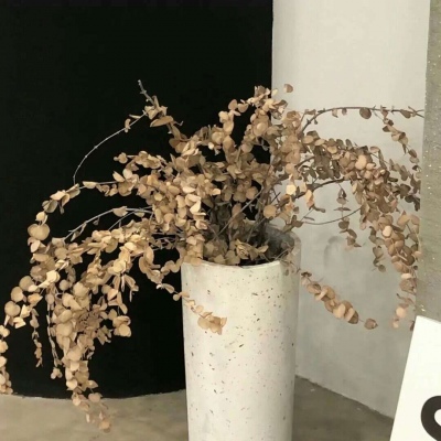 营山FurryQQ群介绍